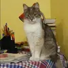 Отзыв от Венера Петровская